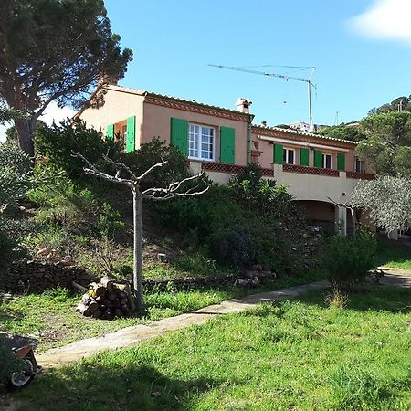 Villa Superbe Vue Sur Mer Et Sur La Montagne Jardin Terrasses بانيول سور مير المظهر الخارجي الصورة