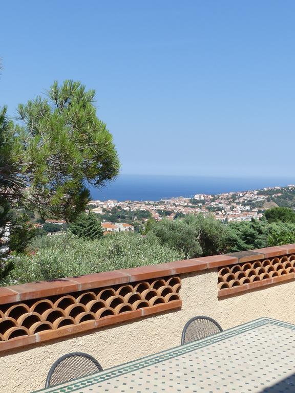 Villa Superbe Vue Sur Mer Et Sur La Montagne Jardin Terrasses بانيول سور مير المظهر الخارجي الصورة