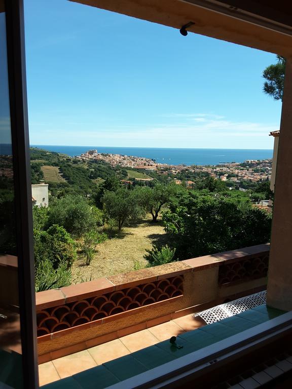 Villa Superbe Vue Sur Mer Et Sur La Montagne Jardin Terrasses بانيول سور مير المظهر الخارجي الصورة